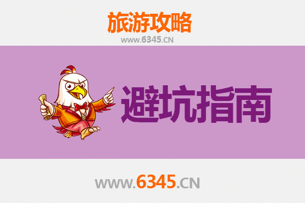 菏泽旅游全攻略：牡丹之都的必读忠告与行程指南