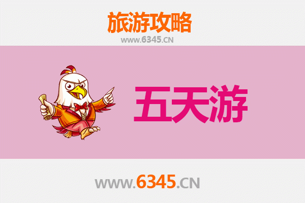 菏泽成武五天四夜深度游攻略：古韵新风，荷香之旅