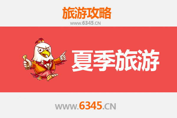 菏泽单县夏季消暑指南：古韵荷风与舌尖盛宴