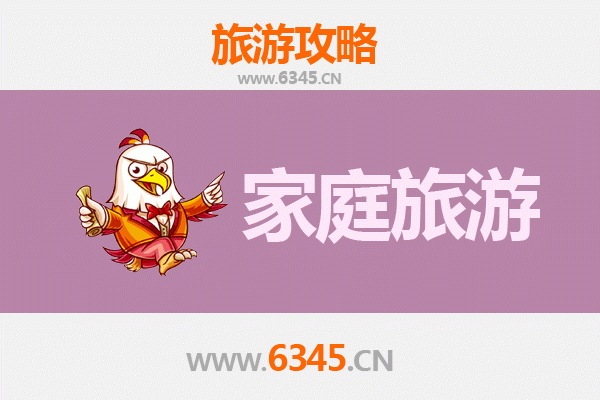 菏泽东明家庭亲子游全攻略：黄河风情与乡村乐趣之旅